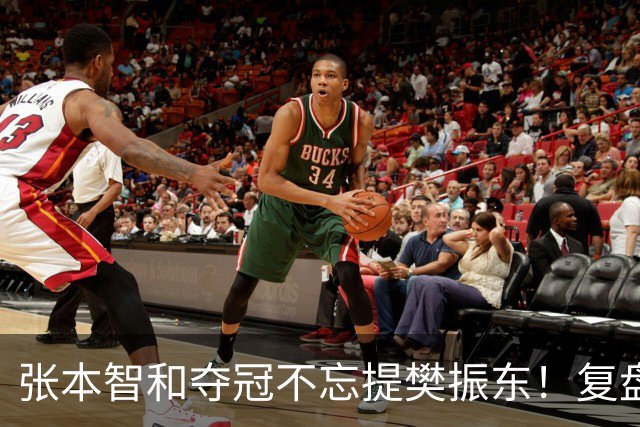 张本智和夺冠不忘提樊振东！复盘亚锦赛：相信自己的经验和实力