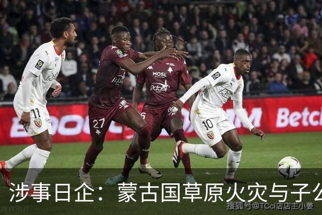 涉事日企：蒙古国草原火灾与子公司高管活动有关